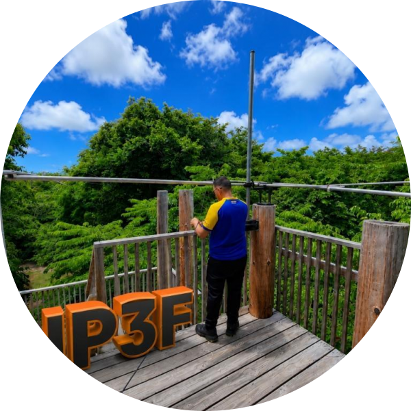 NP3F's picture