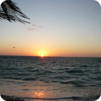 WP4LG's picture