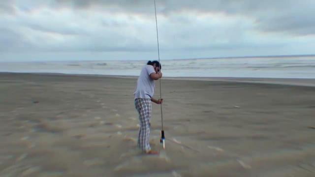 Embedded thumbnail for Arambhol Beach by VU3FGJ